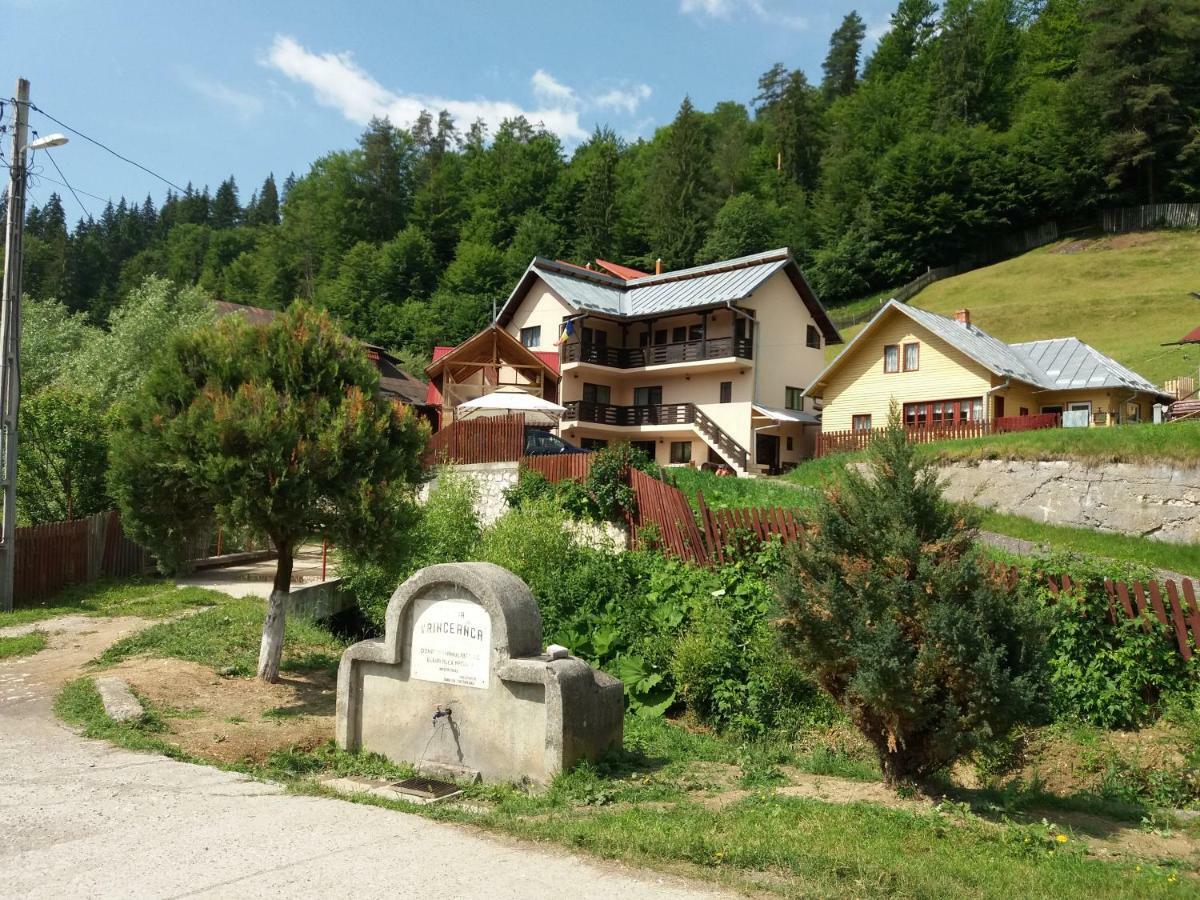 Lip Si Ely Hotell Dîmbovicioara Eksteriør bilde