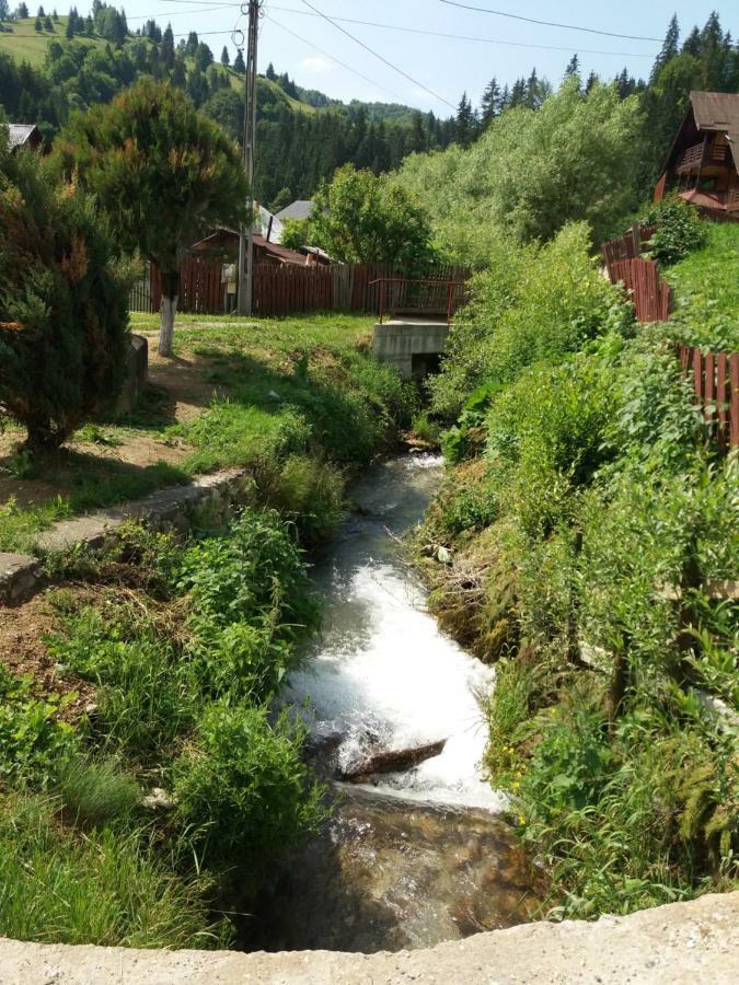 Lip Si Ely Hotell Dîmbovicioara Eksteriør bilde